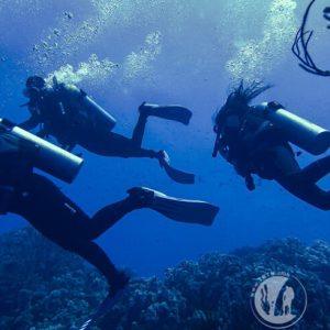 Gabr El bint Dahab SSH