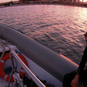 Zodiac adventure (Drift + wreck) 2 dives SSH