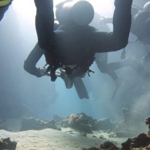 1 dive from shore (half day) SSH