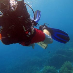 PADI Scuba Diver